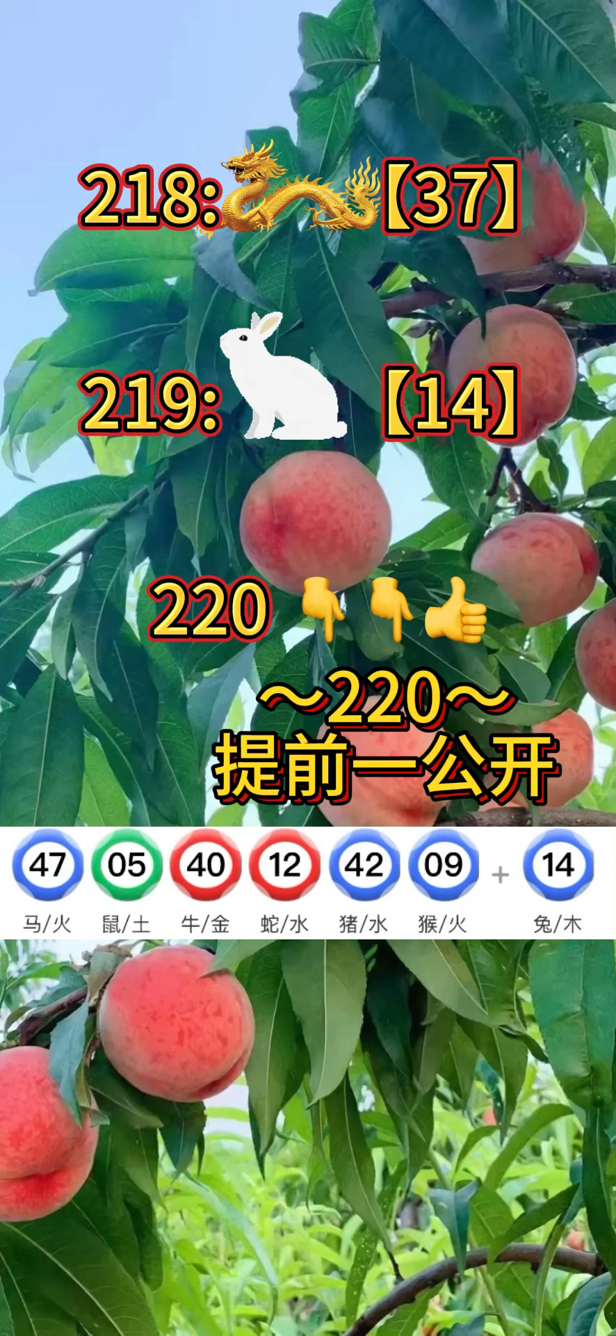 2024新澳门资料免费大全,数据整合方案实施_投资版121,127.13