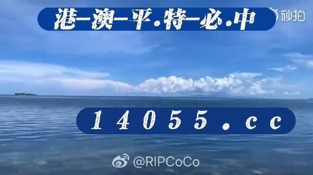 新澳门开奖直播官网，新澳门开奖直播官网视频