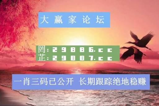 新澳门六开彩资料查询最新20个数，澳门六开彩最新消息