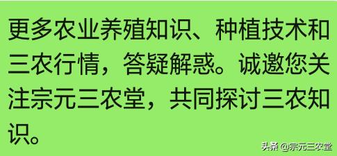 美国严重蛋荒，美国对鸡蛋的最新研究