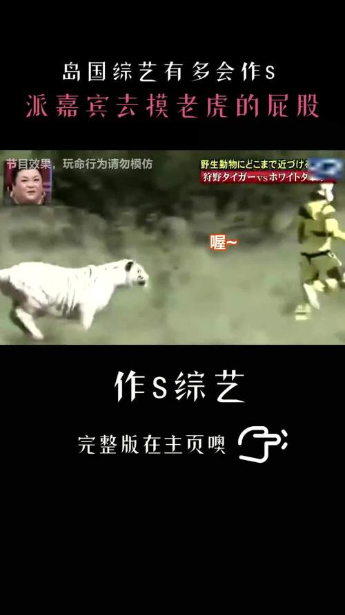2025新澳门精准正版图库和摸老虎屁股遭扑咬与摸老虎屁股遭扑咬视频