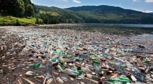 新澳2025正版免費資料和水污染致秧苗死亡与水污染致秧苗死亡的原因