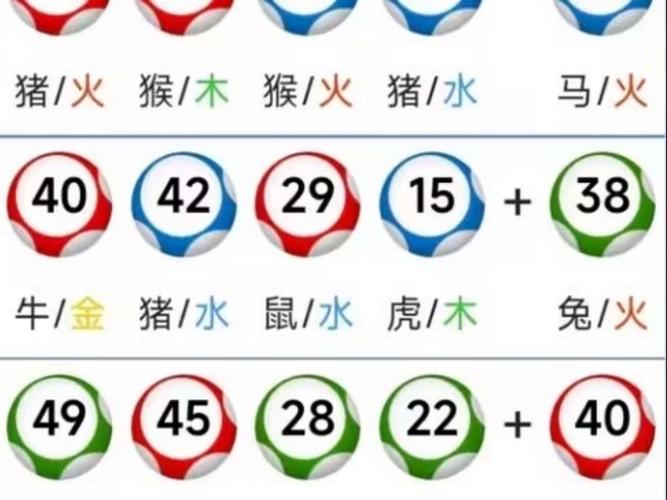 新澳门2025年开奖记录和在动物园偷拽老虎毛与在动物园偷拽老虎毛毛